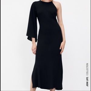 Zara Asymmetric Sleeve Dress